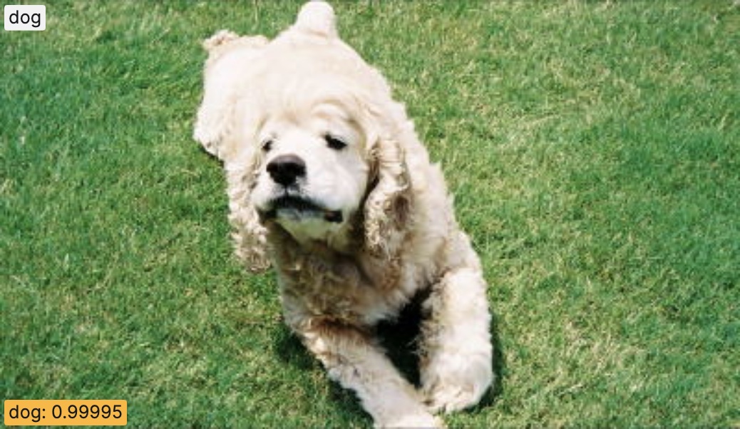 "Dog" classification example from the Dogs vs. Cats dataset.