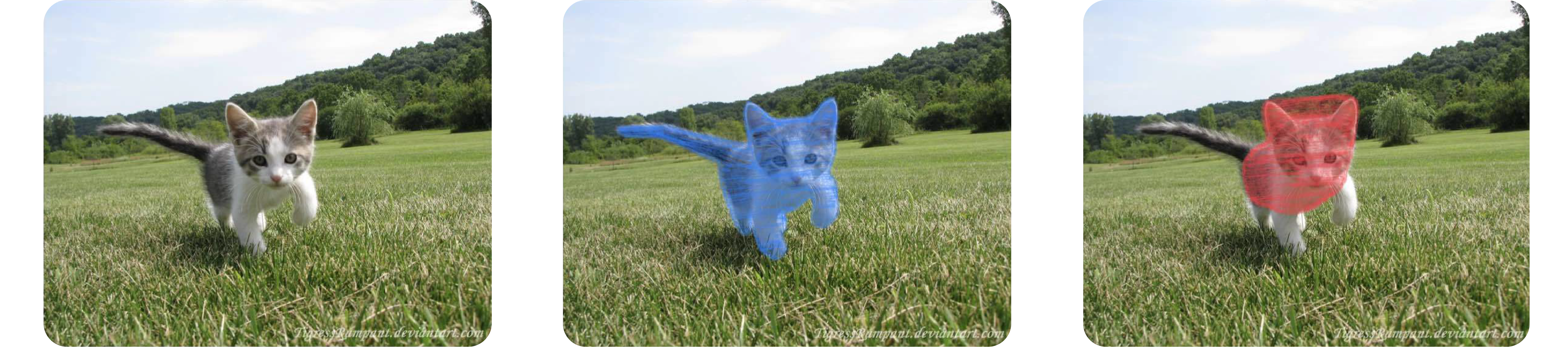 An example of segmentation mask